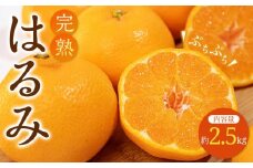 完熟 はるみ 約2.5kg【2026-2月下旬～2026-3月下旬配送】