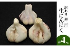 加工用 訳あり 生にんにく 約4kg【2025-5月上旬～2025-6月上旬配送】