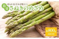 柔らかさと甘みが際立つ さぬきのめざめ春芽 約800g【2025-1月下旬～2025-2月下旬配送】