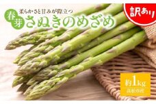 訳あり 柔らかさと甘みが際立つ さぬきのめざめ春芽 約1kg【2025-1月下旬～2025-2月下旬配送】
