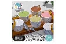 瀬戸内ジェラートMARE　ジェラート詰合せ12個