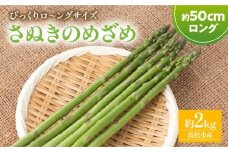 びっくりロ～ングサイズ さぬきのめざめロング約50cm 約2kg【2025-2月中旬～2025-4月下旬配送】