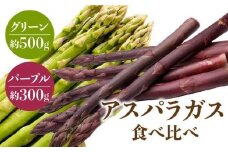グリーン(約500g)・パープル(約300g)アスパラガス食べ比べセット【2025-3月上旬～2025-9月下旬配送】
