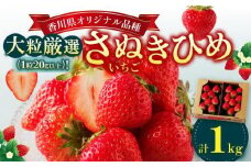 大粒厳選(1粒20g以上)!さぬきひめいちご 約1kg【2025-3月上旬～2025-3月下旬配送】