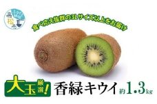 大玉厳選(3Lサイズ以上)!香緑キウイ　約1.3kg【2025-1月上旬～2025-3月上旬配送】