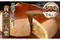 栗林のくり　黄金の大栗