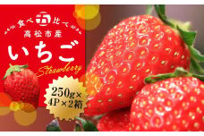 高松市産いちご食べ比べセット　約250g×4パック入り×2箱【2025-1月中旬～2025-5月中旬】