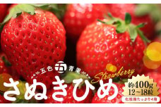 さぬきひめいちご化粧箱たっぷり約400g(12～18粒) 4箱【2025-2月上旬～2025-4月中旬】