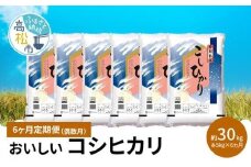 【6ヶ月定期便】計約30kg 偶数月 おいしいコシヒカリ約5kg