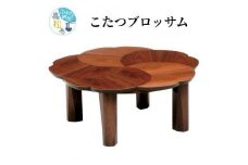 テレビで紹介されました！こたつブロッサム