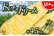 ＼寄附額改定／訳あり ご家庭用ドルチェドリーム 約4.5kg【2025-6月上旬～2025-7月上旬配送】