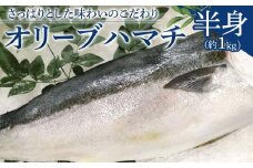 オリーブハマチ 半身