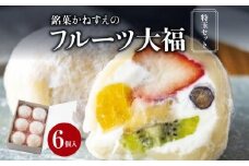銘菓かねすえのフルーツ大福（特玉セット）