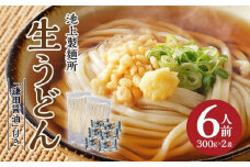 本家　池上製麺所　生うどん（鎌田醤油付）2袋（6人前）｜うどん 生麵 るみおばあちゃん うどんセット 生醤油 生うどん 麺 麺類 香川 香川県 高松 讃岐 さぬき