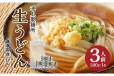 本家　池上製麺所　生うどん（鎌田醤油付）1袋（3人前）｜うどん 生麵 るみおばあちゃん うどんセット 生醤油 生うどん 麺 麺類 香川 香川県 高松 讃岐 さぬき