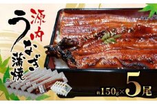 源内うなぎ（5尾）