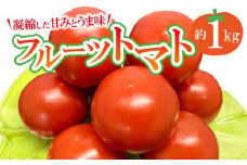 フルーツトマト　約1kg【2024-11月上旬～2025-6月上旬配送】