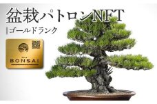 盆栽パトロンNFT ゴールドランク