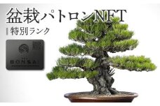 盆栽パトロンNFT 特別ランク