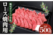 焼肉一牛家黒毛オリーブ牛牝ロース焼肉用500g
