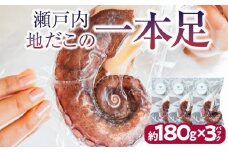 瀬戸内地だこの一本足