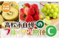 【3回お届け】高松市自慢のフルーツ定期便【C】