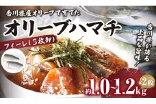 オリーブハマチ（養殖）　フィーレ（3枚卸）