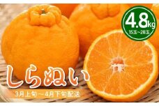 しらぬい 4.8kg【3月上旬～4月下旬配送】