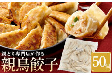 親どり専門店が作る親鳥餃子（50個）