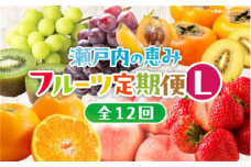 【12回毎月お届け】高松市自慢のフルーツ定期便【L】