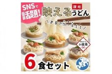 【お歳暮ギフト】讃岐うどん6種食べ比べセット（THE SANUKI NOODLE）