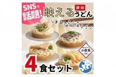 【お歳暮ギフト】讃岐うどん4種食べ比べセット（THE SANUKI NOODLE）