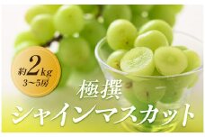 【2025年8月中旬より順次発送】極撰！シャインマスカット　約2kg(3～5房)｜ぶどう マスカット シャインマスカット ブドウ 種なしぶどう 種無し 葡萄 果物 フルーツ くだもの 先行予約 2025予約 冷蔵 香川 高松