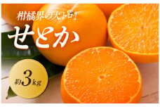 【2026年2月中旬より順次発送】柑橘界の大トロ！せとか　約3kg｜果物 くだもの フルーツ 柑橘 みかん せとか ミカン 人気 おすすめ お土産 ギフト 贈答 家庭用 先行予約 人気 おすすめ 香川 高松