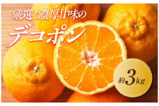 【2026年3月上旬より順次発送】厳選！濃厚甘味の「不知火(しらぬい)」約3kg｜果物 くだもの フルーツ 柑橘 みかん 不知火  濃厚 甘い ミカン 人気 おすすめ 先行予約 香川 高松