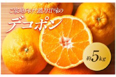 【2026年3月上旬より順次発送】ご家庭向け！濃厚甘味の「不知火(しらぬい)」約5kg｜果物 くだもの フルーツ 柑橘 みかん 不知火  濃厚 甘い ミカン 人気 おすすめ 先行予約 香川 高松