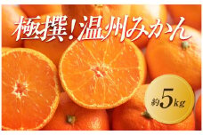 【2025年11月上旬より順次発送】極撰！温州みかん　約5kg｜果物 くだもの フルーツ 柑橘 みかん 温州みかん 人気 おすすめ 先行予約 香川 高松
