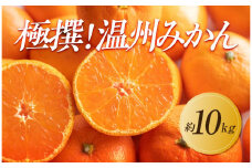 【2025年11月上旬より順次発送】極撰！温州みかん　約10kg｜果物 くだもの フルーツ 柑橘 みかん 温州みかん 人気 おすすめ 先行予約 香川 高松