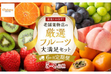 【6ヶ月連続定期便】 創業130余年！老舗果物店の厳選フルーツ詰合せ♪大満足セット（5～8品種）