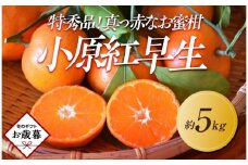 【お歳暮ギフト/熨斗対応】特秀品！真っ赤なお蜜柑「小原紅早生」約5kg
