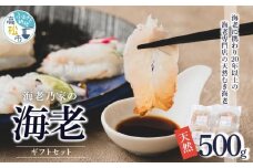 海老乃家の海老500ｇ（125ｇ×4パック）