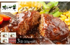 オリーブ牛　ハンバーグ3袋(100g×6枚)セット