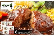 オリーブ牛　ハンバーグ6袋(100g×12枚)セット