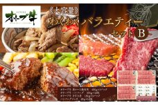 ≪大容量≫オリーブ牛　わくわくバラエティーセットB　