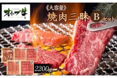≪大容量≫オリーブ牛焼肉三昧Ｂセット