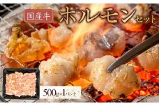 国産牛　ホルモンセット　500g