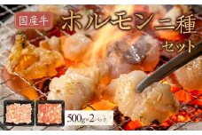 国産牛　ホルモン二種セット1000g