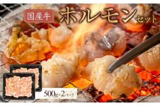 国産牛　ホルモンセット　1000g