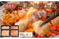 国産牛　ホルモン二種セット2000g