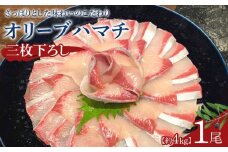 オリーブハマチ1尾三枚下ろし 約4kg